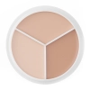TFIT - Cover Up Pro Concealer Palette - Paletă de anticearcăn pentru față - Neutru - 10g