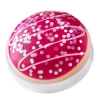 Makeup Revolution - I Heart Revolution Donuts Palette - Paletă de farduri de ochi - Cherry Pie - 8.25g 